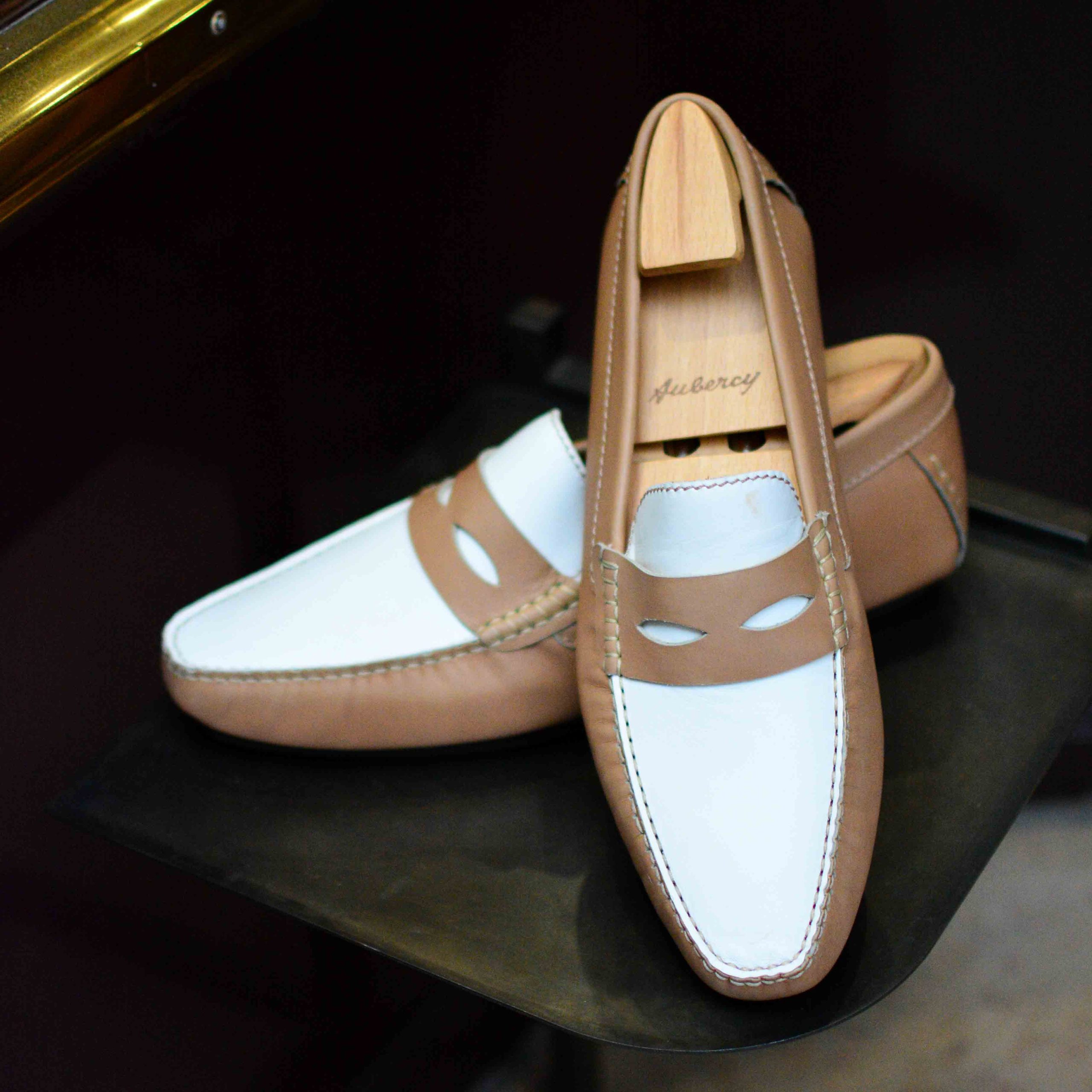 Arsène bicolore (Archives) – Image 2