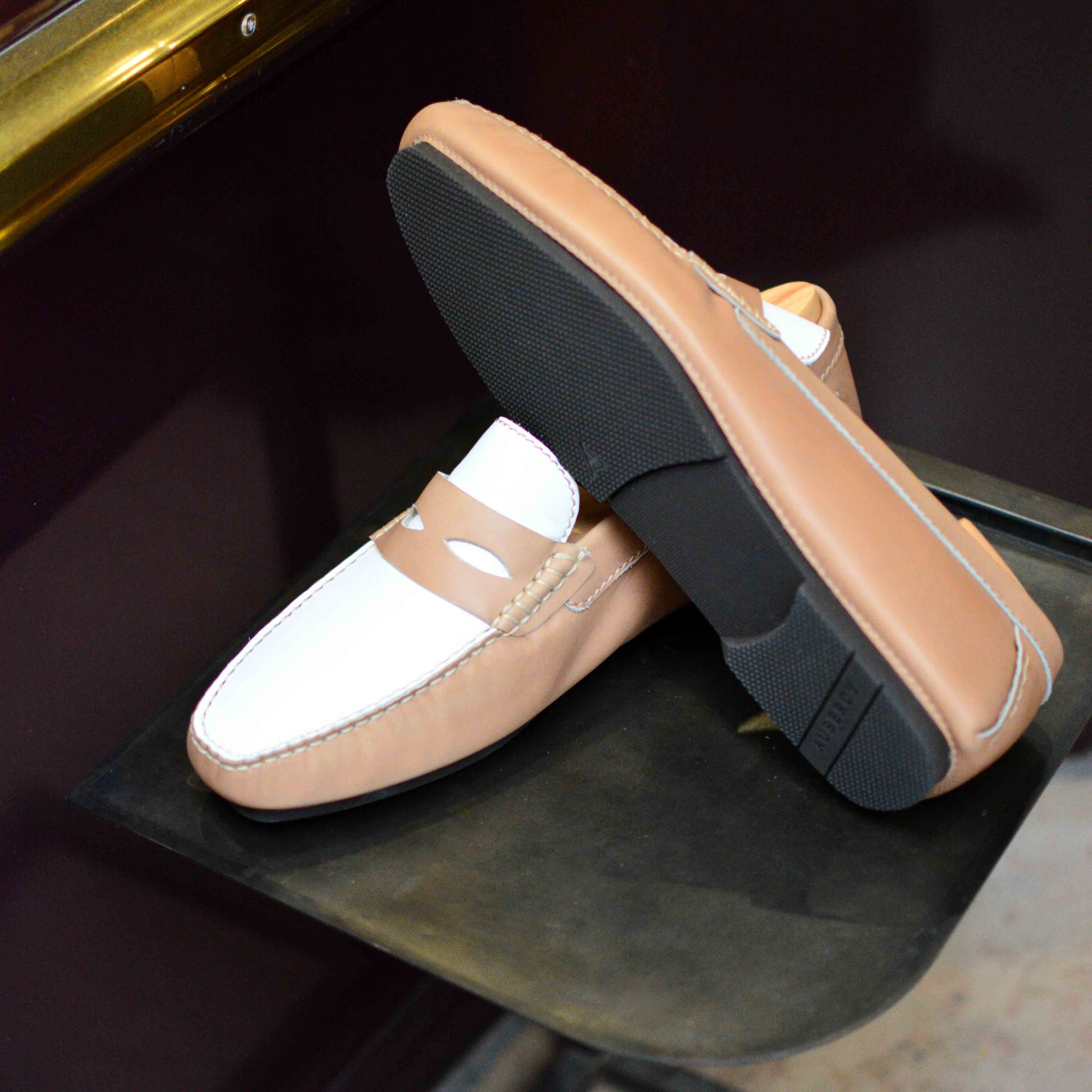 Arsène bicolore (Archives) – Image 4