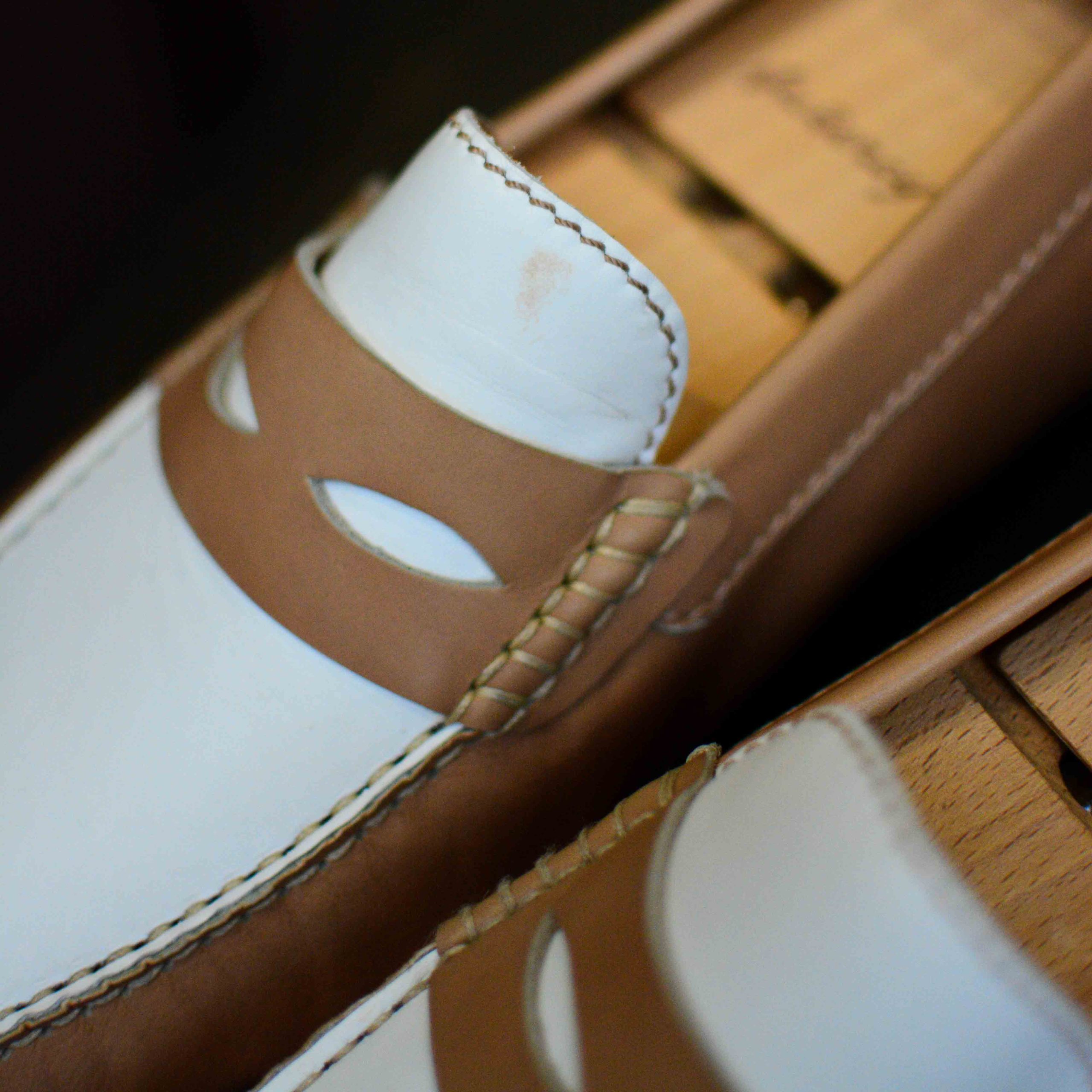 Arsène bicolore (Archives) – Image 3