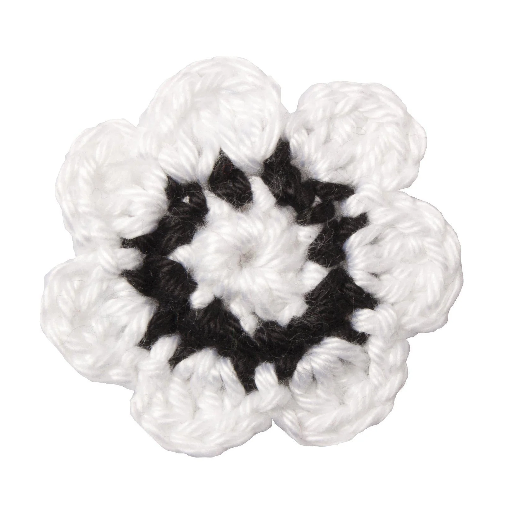 Baltische Corporation Fraternitas Dorpatensis München Revers Blume – Image 5