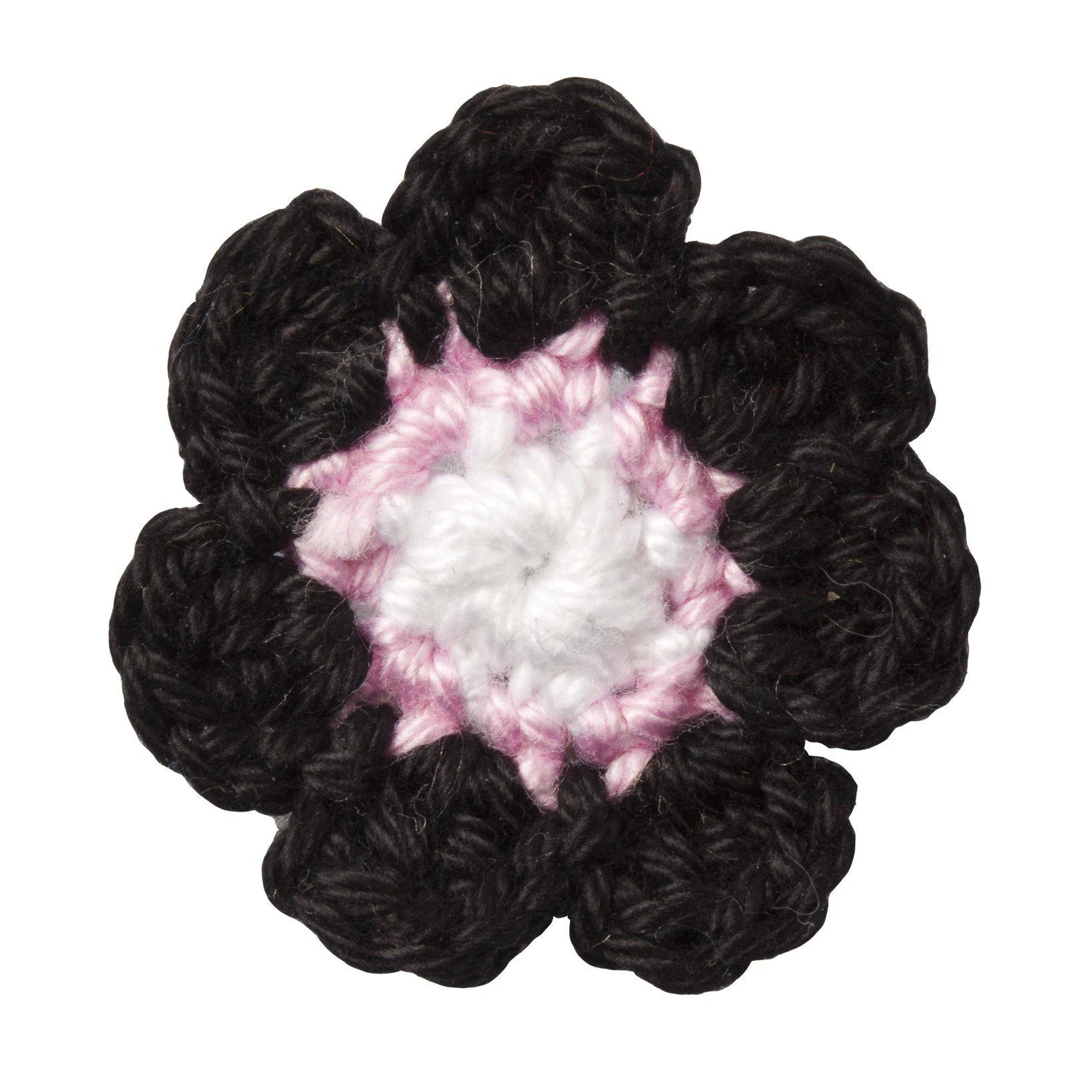 Corps Borussia Breslau zu Köln und Aachen Revers Blume