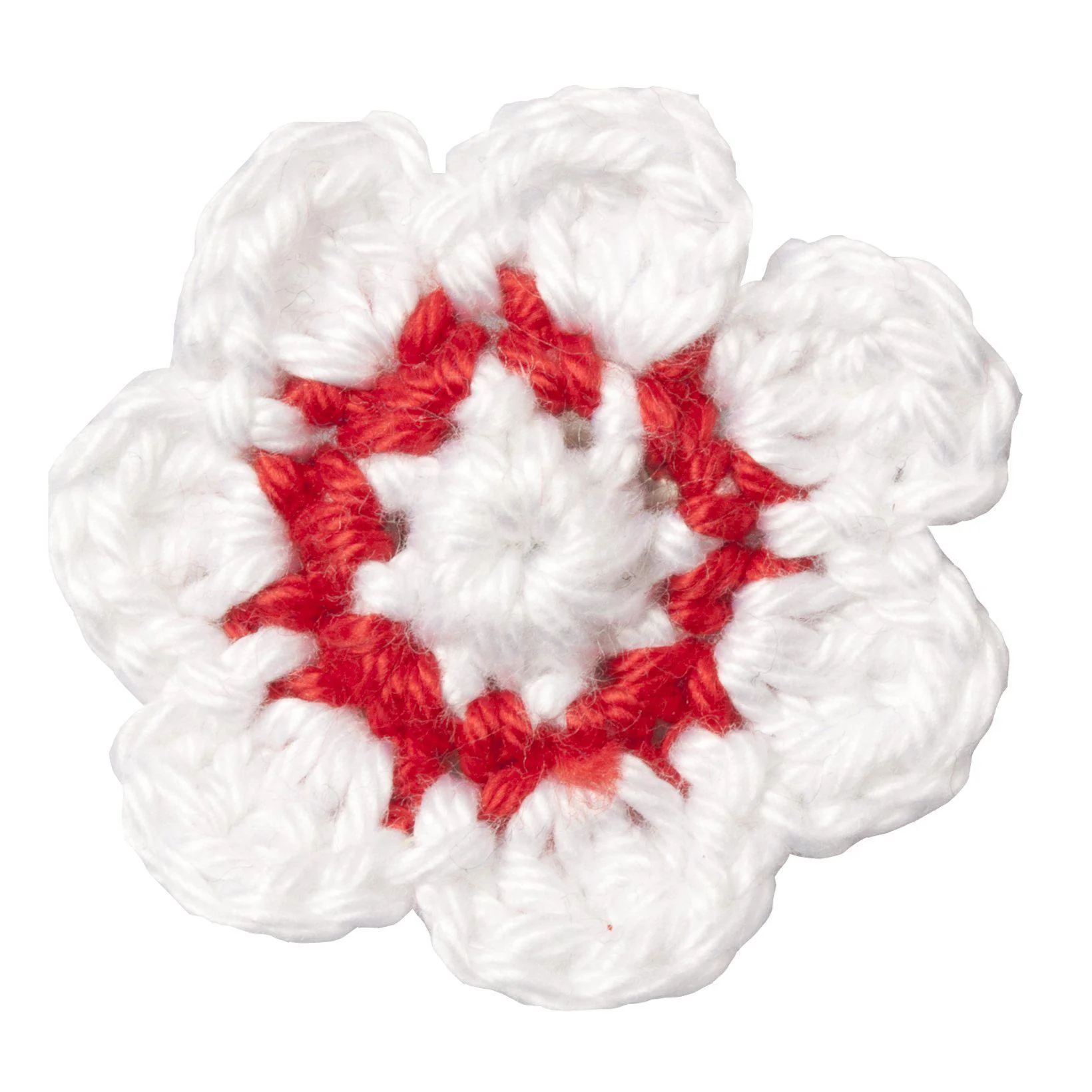 Corps Hansea Bonn Revers Blume – Image 5